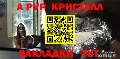 прущие грибы Шебекино