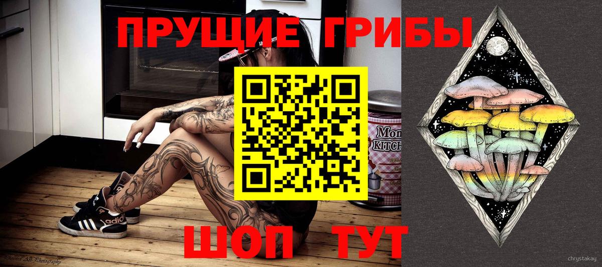 Красный Сулин  Псилоцибиновые грибы GOLDEN TEACHER  Псилоцибиновые грибы Psilocybe  Вход с VPN 