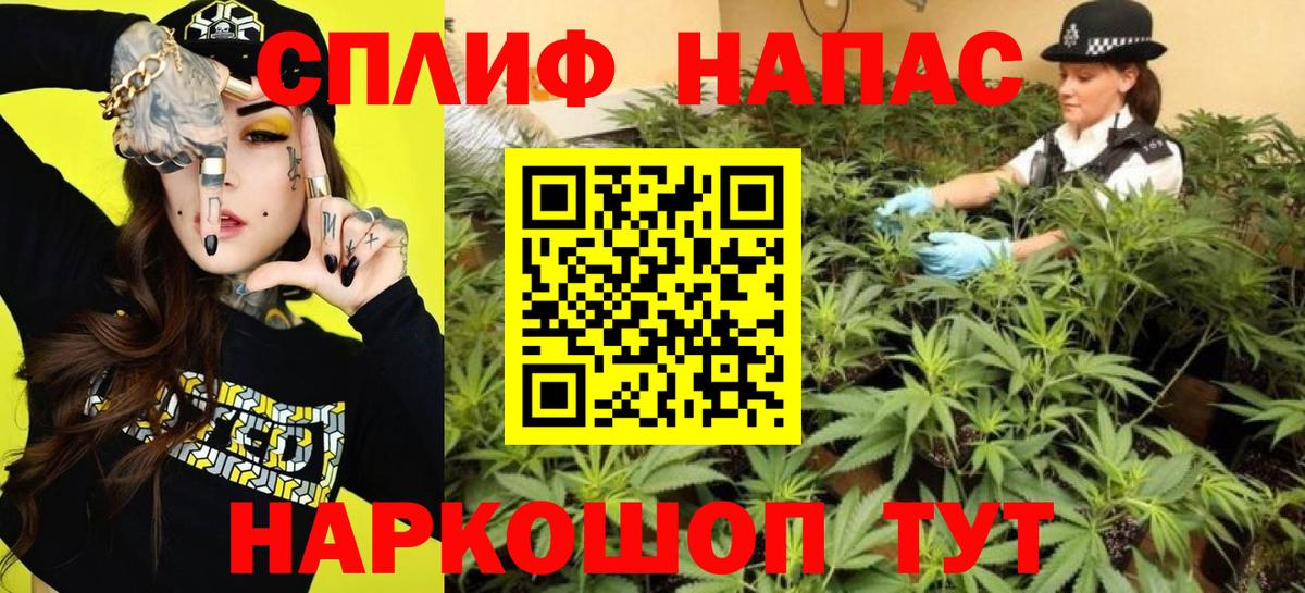 Конопля планчик  Вход с VPN  Красный Сулин  Бошки Шишки OG Kush 